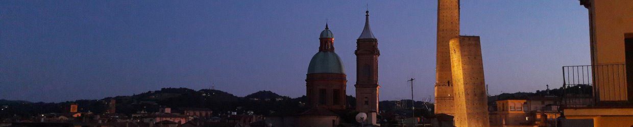 Vista notturna dei tetti Bolognesi. Dal centro si intravede la Cupola della Basilica di San Bartolomeo e le due torri Garisenda e degli Asinelli