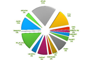 Report of the activities 2020