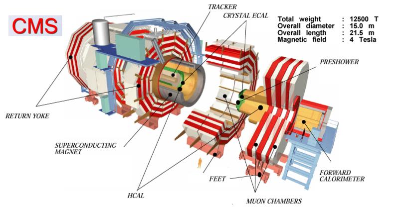 Schema del rivelatore CMS