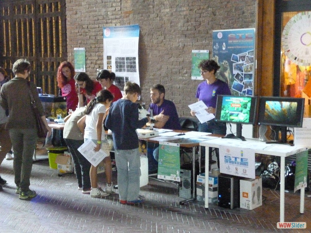 P1040076