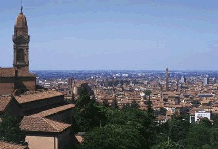 view
