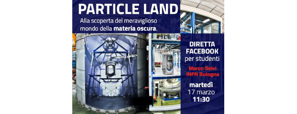 Facebook direct poster on Particle Land: the Dark Matter